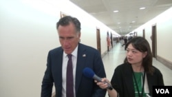 来自犹他州共和党籍参议员罗姆尼接受美国之音采访。(2019年6月5日)