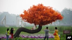 在北京郊区的雾霾中,游客在“希望树”旁照相。许多人希望中国改善环境,消除雾霾