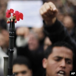 突尼斯茉莉花革命中示威者把花插到军人的枪管上,这后来影响到中国的茉莉花茶