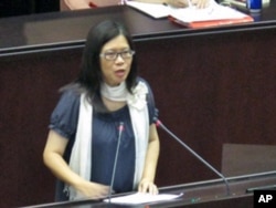 管碧玲,民进党立委