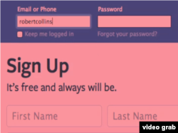 脸书登录页面(视频截图)