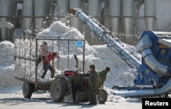 2005年 10月,新疆石河子生产建设兵团的一个棉花加工厂的工人们在工作。(资料照片)