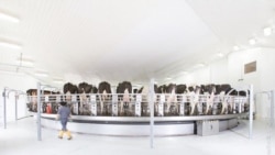 威斯康辛州的一家农场(Joe Meyer提供)