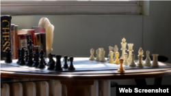 国际象棋棋盘 (视频截图)