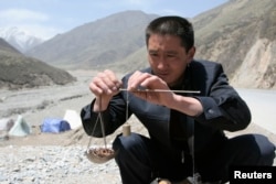 一位当地买家在称量一把冬虫夏草。中国青海省西部,贵德县拉鸡山。