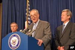 参议员查克·舒默(中)在参议院讲台