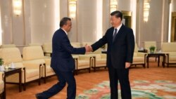 中国国家主席习近平在北京人大会堂会晤到访的世界卫生组织总干事谭德塞。(2020年1月28日)