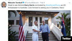 澳大利亚总理曾发推文期待哈里斯担任大使(推特)