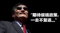 专访陈光诚:对共产党的绥靖政策再回来,世界将万劫不复 专访陈光诚:对共产党的绥靖政策再回来,世界将万劫不复