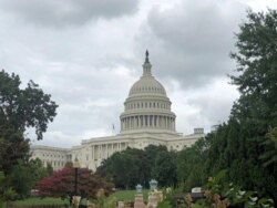 The Capitol Hill building is pictured in Washington, DC. (Photo: Diaa Bekheet)