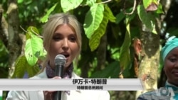 伊万卡宣布投资200万支持科特迪瓦女性可可种植者 伊万卡宣布投资200万支持科特迪瓦女性可可种植者