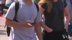 你的身体:你不自知的网络 你的身体:你不自知的网络