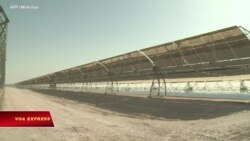 Mỹ sắp quyết định điều tra chống gian lận đối với tấm pin mặt trời nhập từ VN Mỹ sắp quyết định điều tra chống gian lận đối với tấm pin mặt trời nhập từ VN