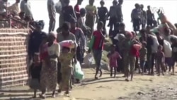 支持难民的草根运动在华盛顿日益壮大 支持难民的草根运动在华盛顿日益壮大