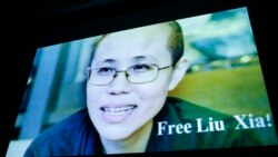 刘霞身获自由 困扰恐将缠身 刘霞身获自由 困扰恐将缠身