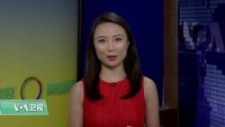 VOA连线(魏之):杨安泽在民主党辩论中表现不俗 VOA连线(魏之):杨安泽在民主党辩论中表现不俗