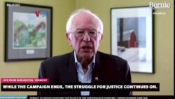 Di Tengah Pandemi Korona, Bernie Sanders Mundur Di Tengah Pandemi Korona, Bernie Sanders Mundur