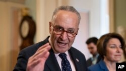 参议院少数党领袖、纽约州民主党议员舒默。