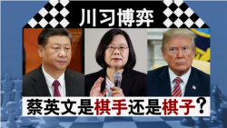 海峡论谈:川习博弈 蔡英文是棋手还是棋子? 海峡论谈:川习博弈 蔡英文是棋手还是棋子?