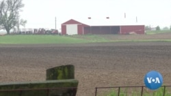 英语视频:随着收获季节的临近,贸易风暴席卷美国农民 英语视频:随着收获季节的临近,贸易风暴席卷美国农民