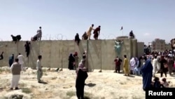 阿富汗人爬上喀布尔国际机场带有铁丝网的围墙寻找机会出逃。(2021年8月16日)