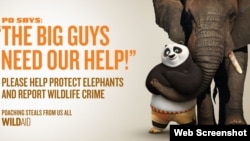 功夫熊猫阿宝呼吁捍卫濒危动物。图中黄体字写道:阿宝:这些大块头需要我们的帮助。 (野生救援网站图片)