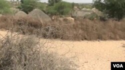 巴基斯坦南部的塔帕卡尔沙漠面积为2万多平方公里