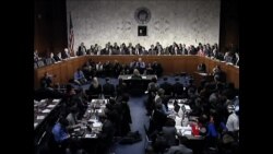 克林顿:班加西袭击属于非洲恐怖主义挑战 克林顿:班加西袭击属于非洲恐怖主义挑战