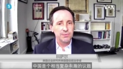 美国企业研究所国会政治学者科萨尔 美国企业研究所国会政治学者科萨尔