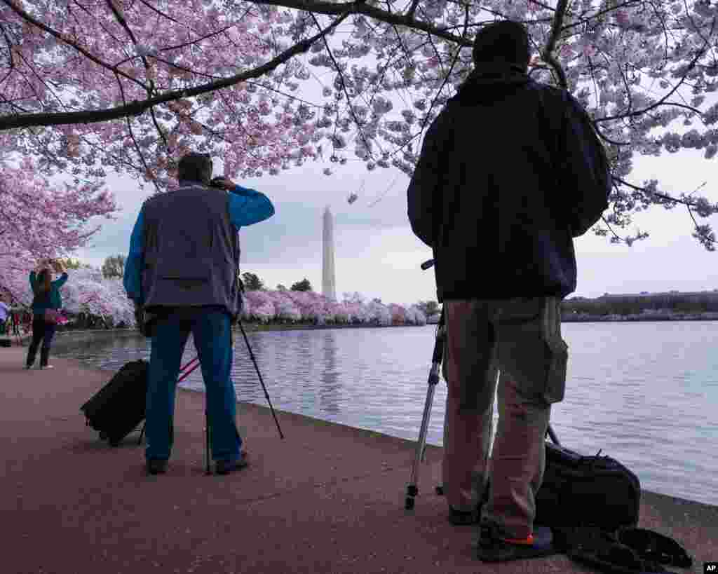 潮汐湖岸边,游客用手机或者三脚架上的“长枪短炮”,把良辰美景收入记忆卡或胶卷,也收入心中。