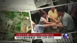 时事大家谈: 从邢台洪灾看社交媒体对党管新闻的冲击 时事大家谈: 从邢台洪灾看社交媒体对党管新闻的冲击