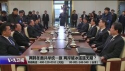 海峡论谈:两韩冬奥共举统一旗 两岸破冰遥遥无期? 海峡论谈:两韩冬奥共举统一旗 两岸破冰遥遥无期?