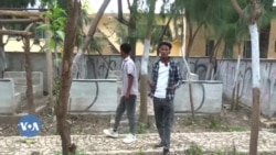 ስእነት ስራሕ መንእሰያት ክልል ትግራይ ስእነት ስራሕ መንእሰያት ክልል ትግራይ