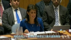 美国及盟国:打击叙利亚是合法、正当的 美国及盟国:打击叙利亚是合法、正当的