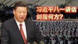 时事大家谈:谁也别指望中国吞下苦果:习近平八一讲话剑指何方? 时事大家谈:谁也别指望中国吞下苦果:习近平八一讲话剑指何方?