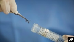 ဇီကာရောဂါကို Brazil နိုင်ငံ က ဓါတ်ခွဲခန်းတွင် စမ်းငသပ်မှု လုပ်စဉ် ( ၂၇ ဇန်နဝါရီလ ၂၀၁၆)