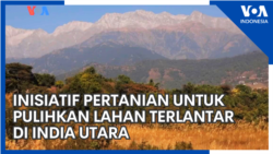 Inisiatif Pertanian untuk Pulihkan Lahan Terlantar di India Utara Inisiatif Pertanian untuk Pulihkan Lahan Terlantar di India Utara