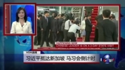 VOA连线:习近平抵达新加坡,马习会倒计时 VOA连线:习近平抵达新加坡,马习会倒计时
