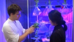 Trang trại nổi trên tàu vận tải Trang trại nổi trên tàu vận tải