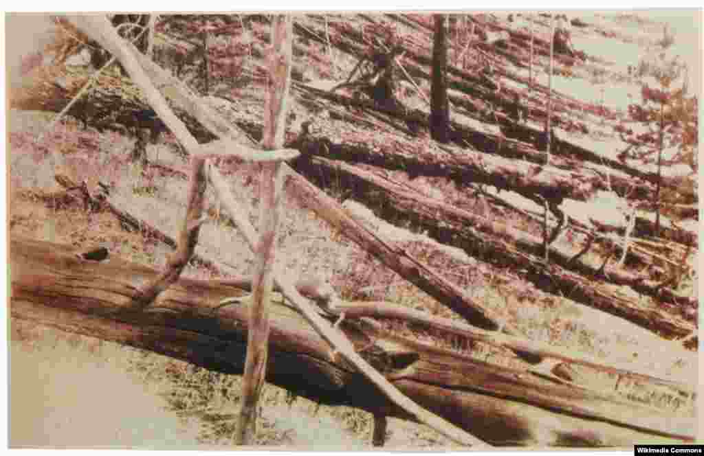 Cây rừng bị cháy rụi do thiên thạch Tunguska đâm xuống ở Nga năm 1908. Vụ cháy gây ra do thiên thạch hoặc mảnh vỡ sao chổi nổ tung trong không khí ở độ cao 5-10km trên bề mặt Trái đất.