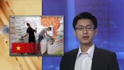 VN muốn nắm bắt cơ hội 'cơ cấu dân số vàng' VN muốn nắm bắt cơ hội 'cơ cấu dân số vàng'