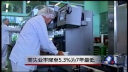 美失业率降至5.3%为7年最低 美失业率降至5.3%为7年最低