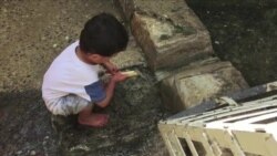 伊拉克雅兹迪人担心民族的未来 伊拉克雅兹迪人担心民族的未来