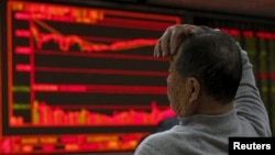 在北京一家证券交易公司,有人观看电子屏幕上的股票信息,屏幕右侧的股价一片惨绿(2016年1月4日)