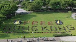 台港民众以身体组成自由香港字样声援港人民主抗争 台港民众以身体组成自由香港字样声援港人民主抗争