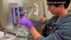 美科研人员取得治愈糖尿病新进展 美科研人员取得治愈糖尿病新进展