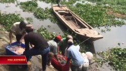 Người Sài Gòn phóng sanh Người Sài Gòn phóng sanh