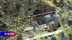 时事大家谈:习近平举全国之力“决战上海”,清零背后有何难言之隐?  时事大家谈:习近平举全国之力“决战上海”,清零背后有何难言之隐?