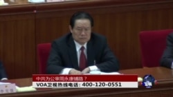 时事大家谈:中共为公审周永康铺路? 时事大家谈:中共为公审周永康铺路?