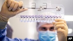 一名辉瑞技术人员在比利时的一处辉瑞公司的设施里检测新冠疫苗。(2021年3月)